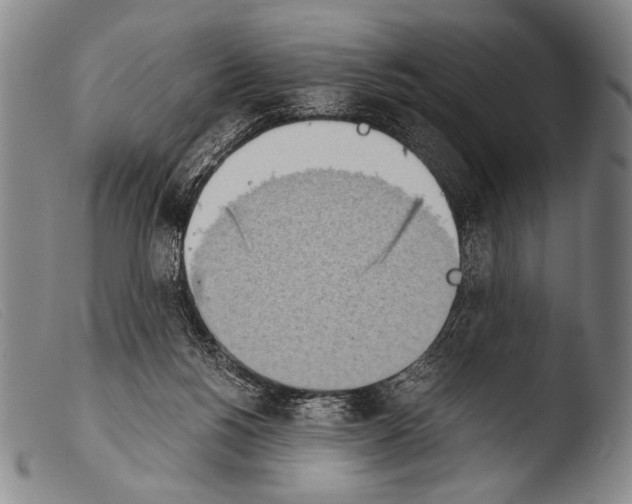 X0000103940168200810311534