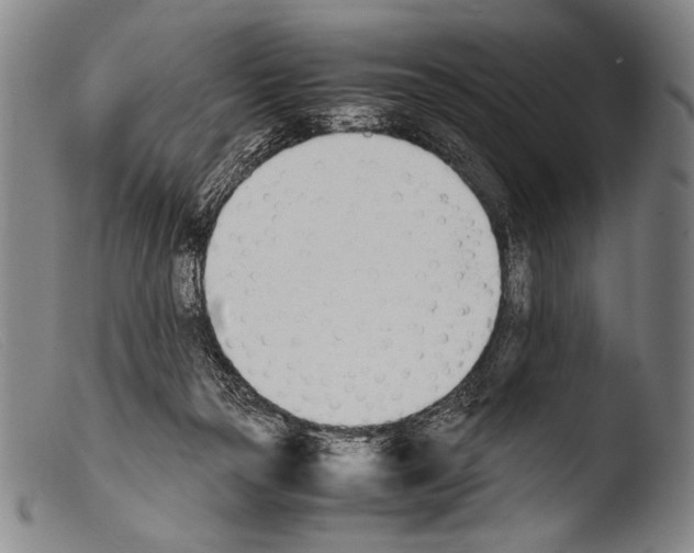 X0000103940169200810311534