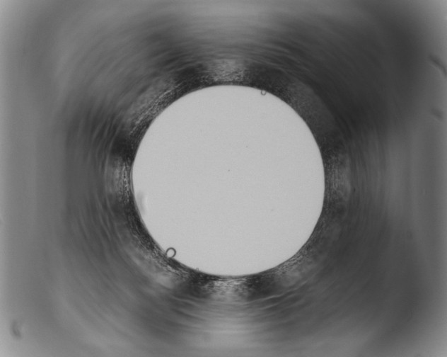 X0000103940172200810311534