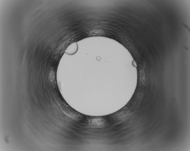 X0000103940173200810311534