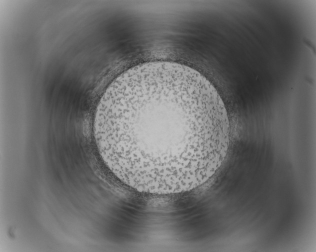 X0000103940174200810311534