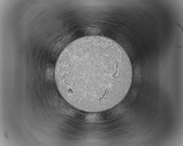 X0000103940177200810311534