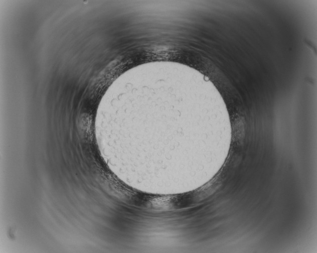 X0000103940178200810311534