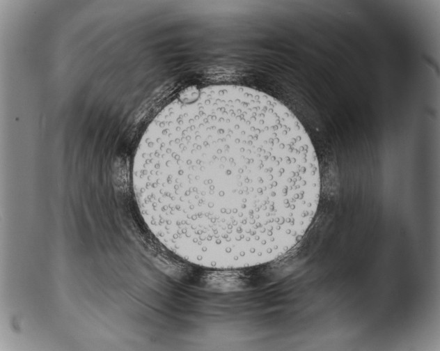 X0000103940179200810311534