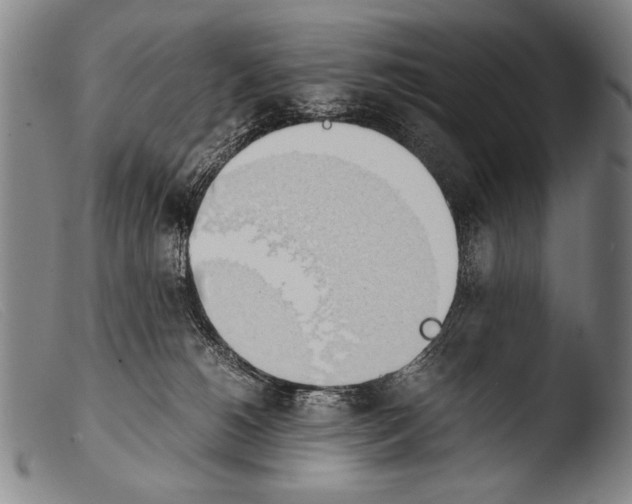 X0000103940180200810311534