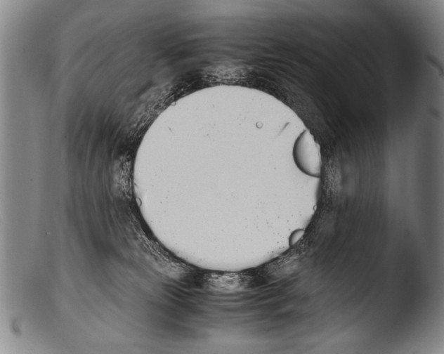 X0000103940181200810311534