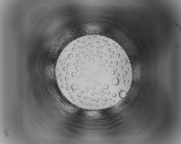 X0000103940183200810311534