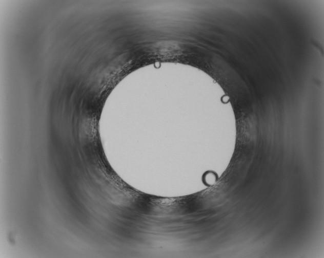 X0000103940184200810311534