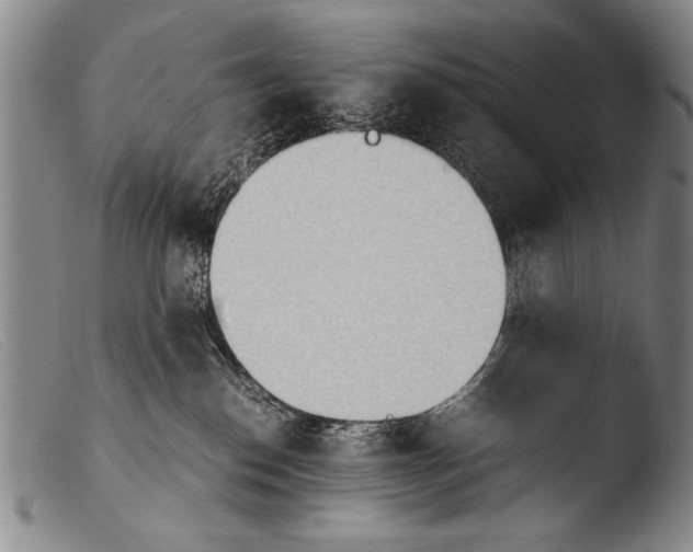 X0000103940186200810311534