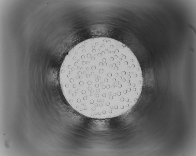 X0000103940187200810311534