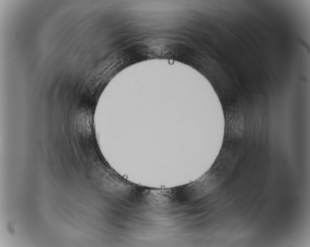 X0000103940188200810311534