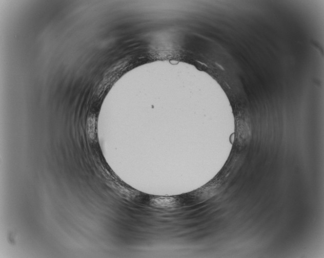 X0000103940189200810311534