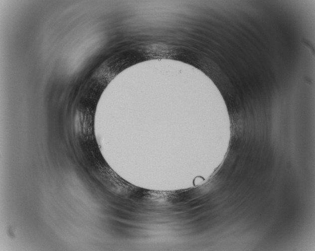 X0000103940190200810311534