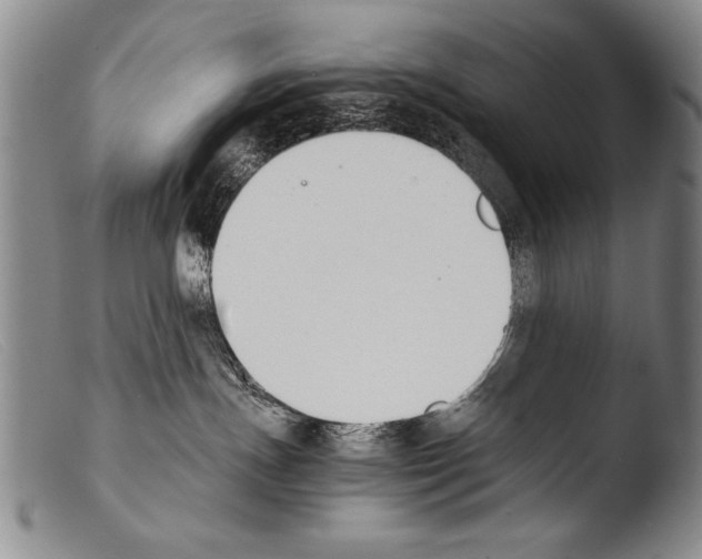 X0000103940191200810311534