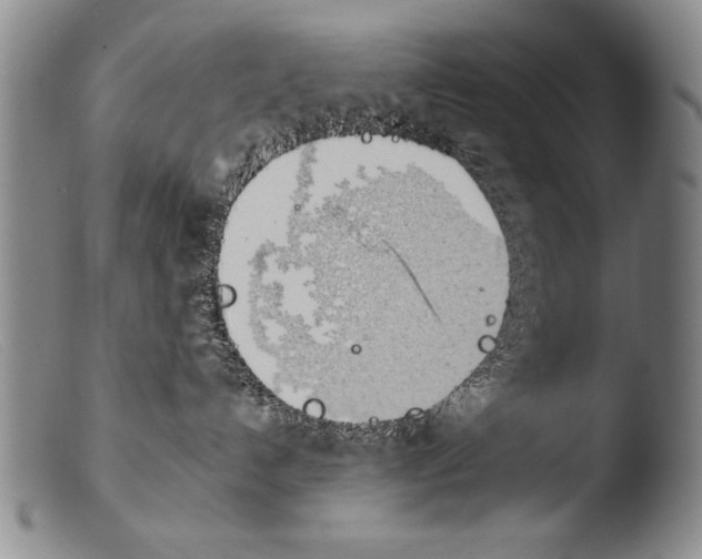 X0000103940192200810311534