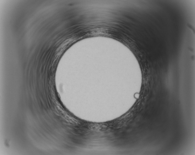 X0000103940193200810311533