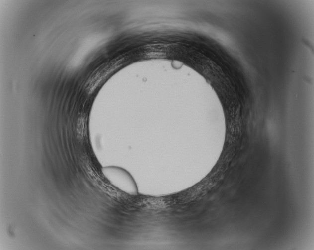 X0000103940194200810311533