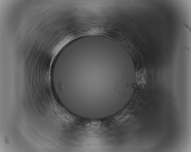 X0000103940196200810311533