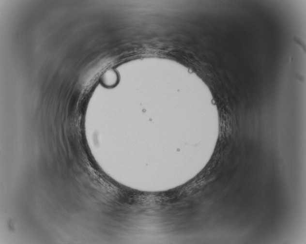 X0000103940197200810311533