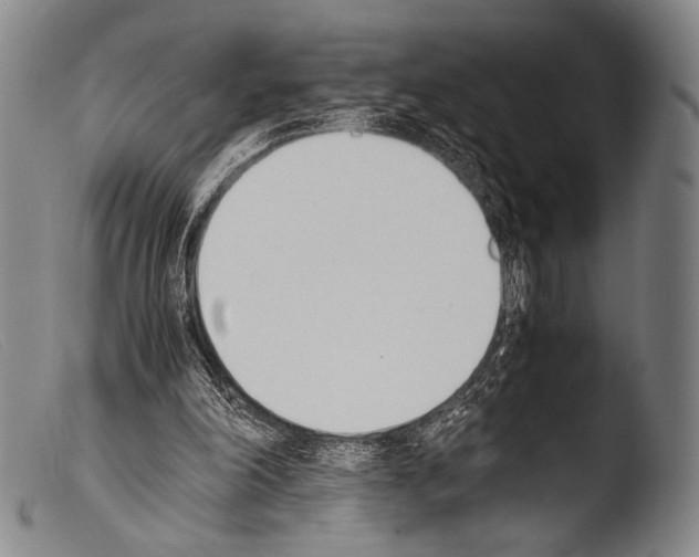 X0000103940198200810311533