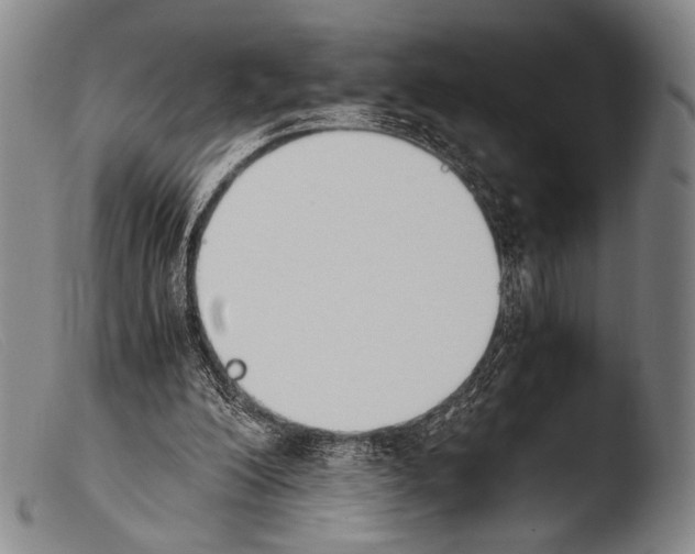 X0000103940200200810311533