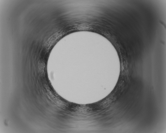 X0000103940201200810311533