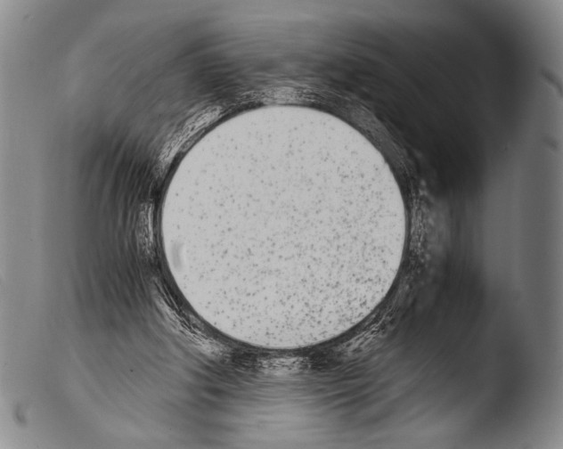 X0000103940202200810311533