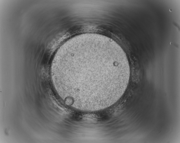 X0000103940203200810311533