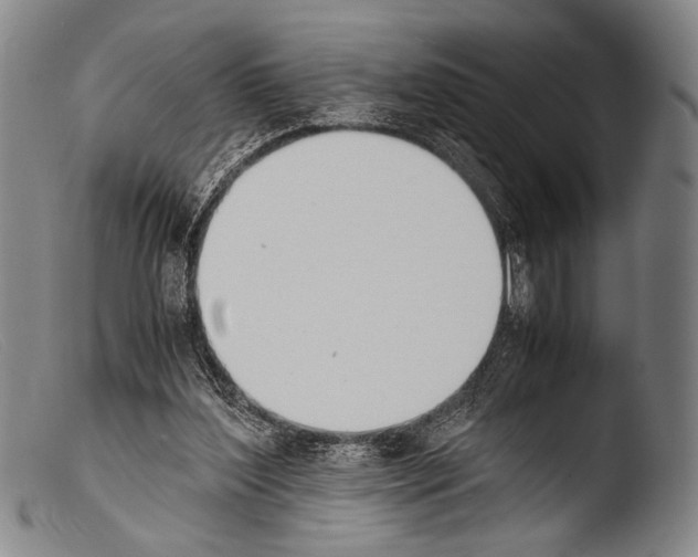 X0000103940204200810311533