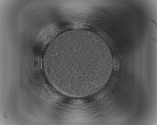 X0000103940205200810311533