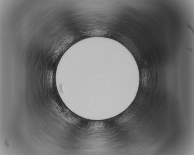 X0000103940206200810311533