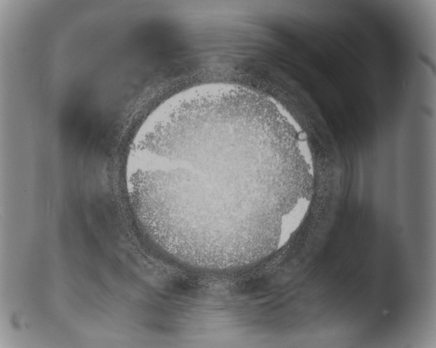 X0000103940207200810311533