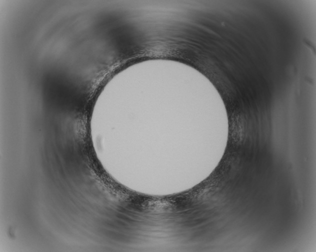 X0000103940208200810311533