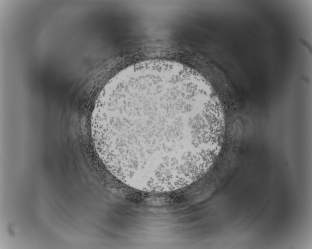 X0000103940211200810311533