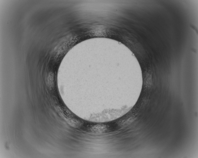 X0000103940213200810311533