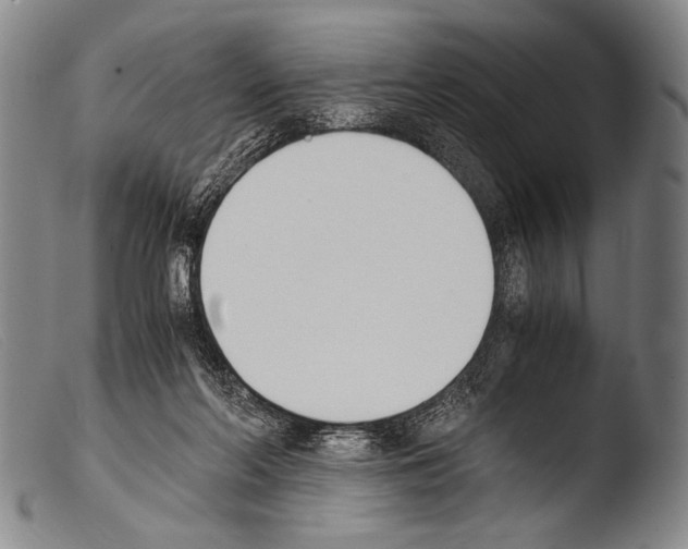 X0000103940214200810311533