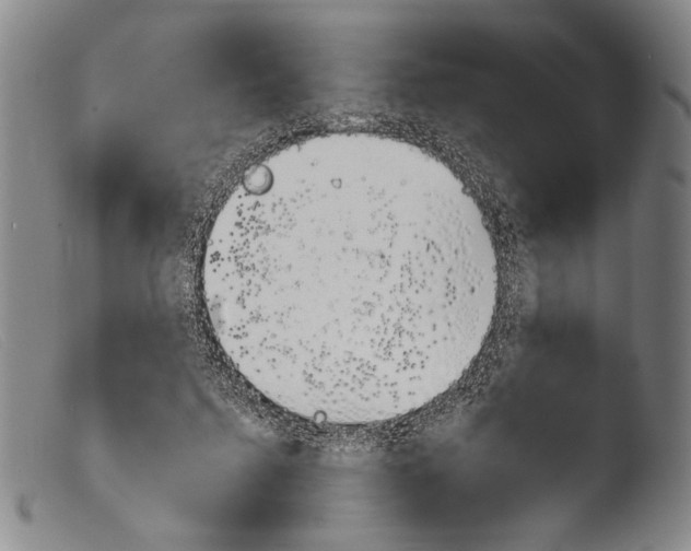 X0000103940215200810311533