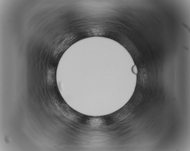 X0000103940218200810311533