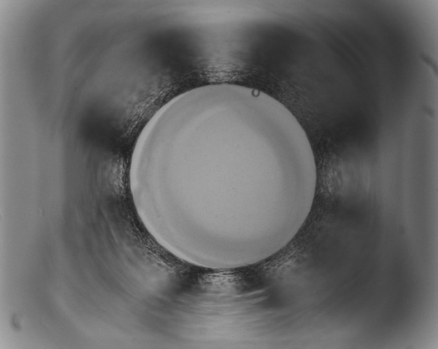 X0000103940219200810311533