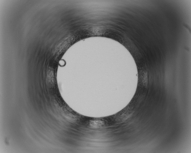 X0000103940220200810311533