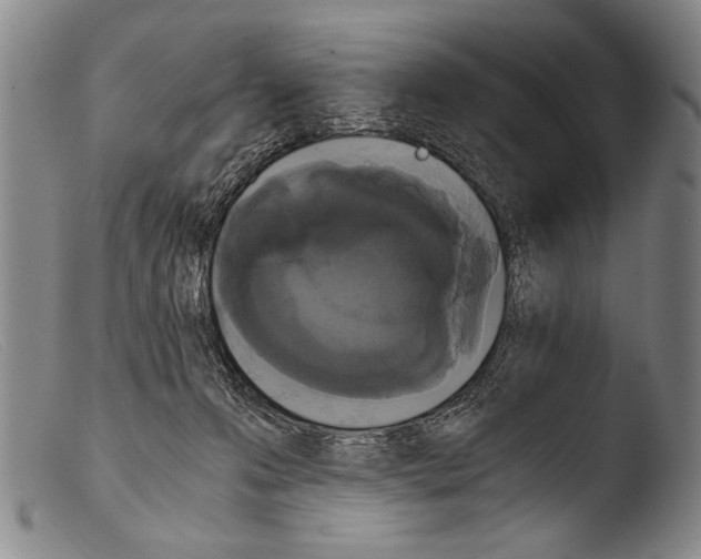 X0000103940223200810311533