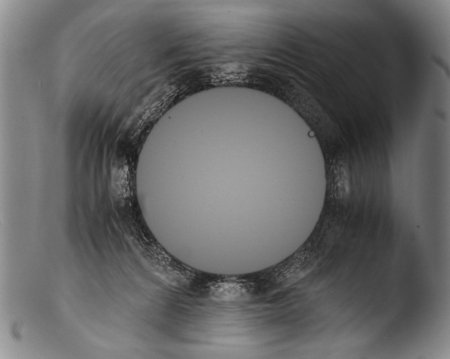 X0000103940224200810311533