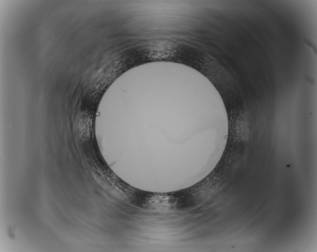 X0000103940227200810311533