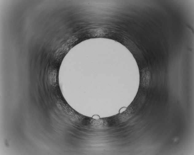 X0000103940230200810311533