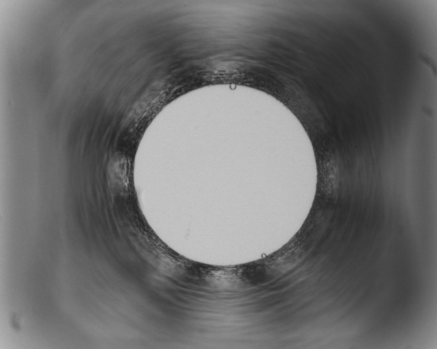 X0000103940232200810311533