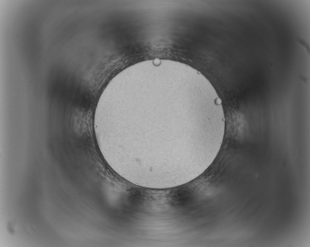 X0000103940233200810311533