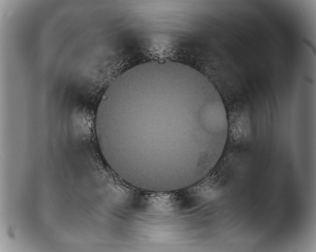 X0000103940235200810311533