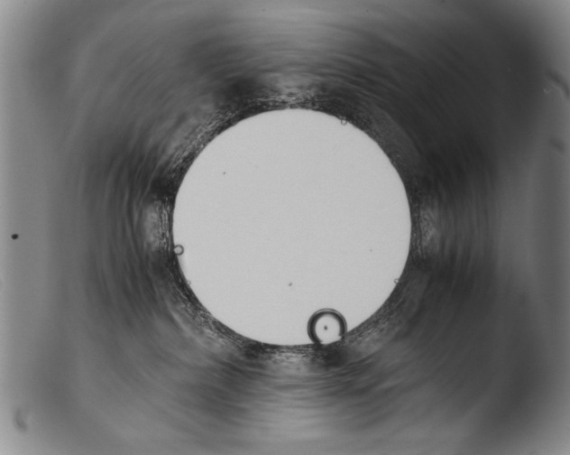 X0000103940236200810311533