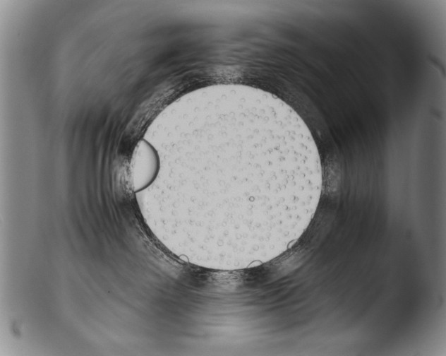 X0000103940238200810311533