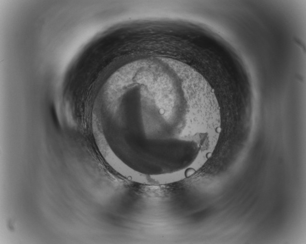 X0000103940239200810311533